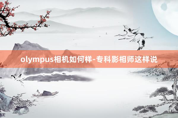 olympus相机如何样-专科影相师这样说