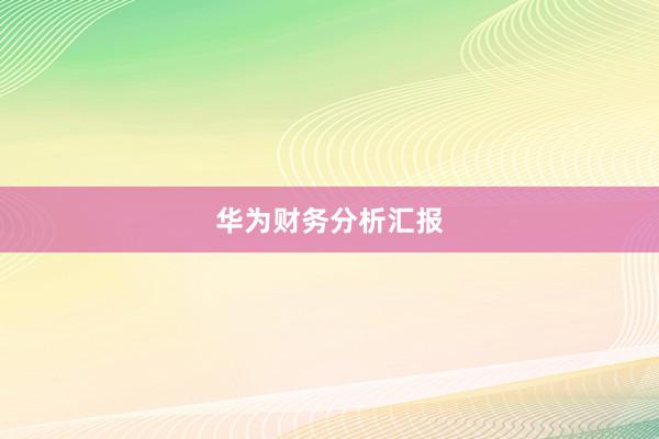 华为财务分析汇报
