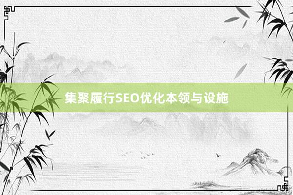 集聚履行SEO优化本领与设施
