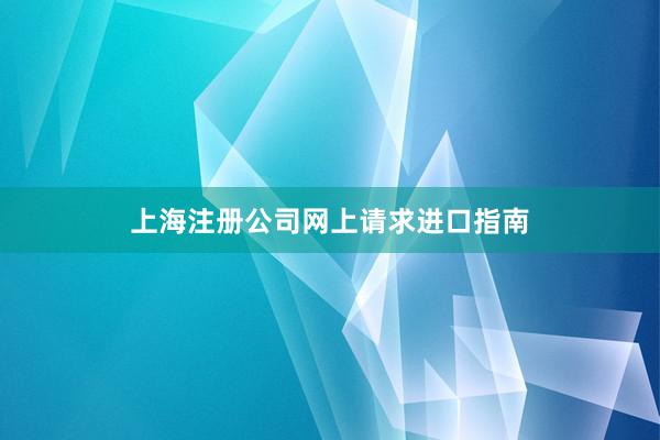 上海注册公司网上请求进口指南