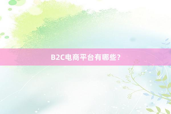 B2C电商平台有哪些？