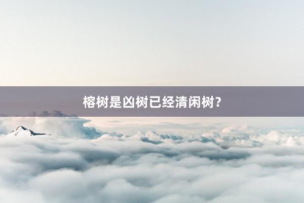 榕树是凶树已经清闲树？