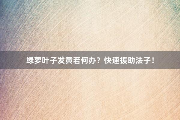 绿萝叶子发黄若何办？快速援助法子！
