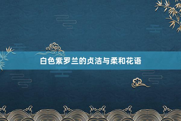 白色紫罗兰的贞洁与柔和花语